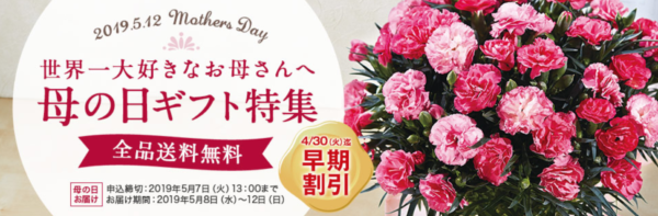 ベルーナ母の日 早期割引2019年