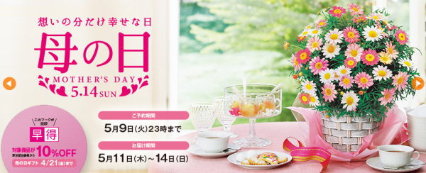 ダイエー母の日2017年