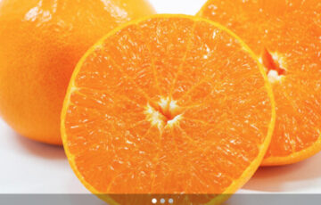 ブランド柑橘 はまさきのお取り寄せ　ギルトシティ
